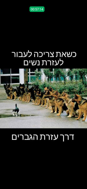 Screenshot_20220607-155431_WhatsApp