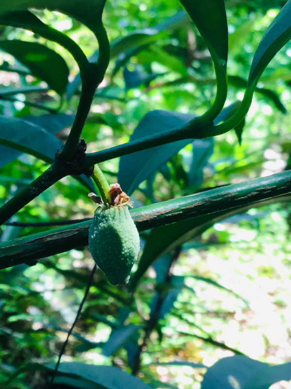 5F97B6D3-ED75-4AB8-A6E2-2CC003F6DCD8