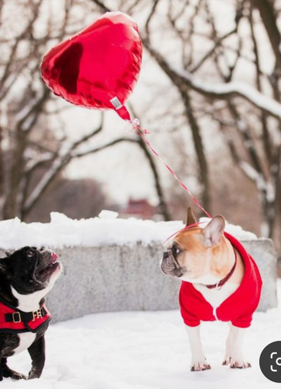 Screenshot_20240214_113647_Pinterest