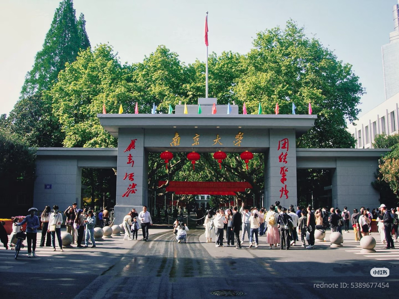 photo 8 2025 12 14 22 12 47