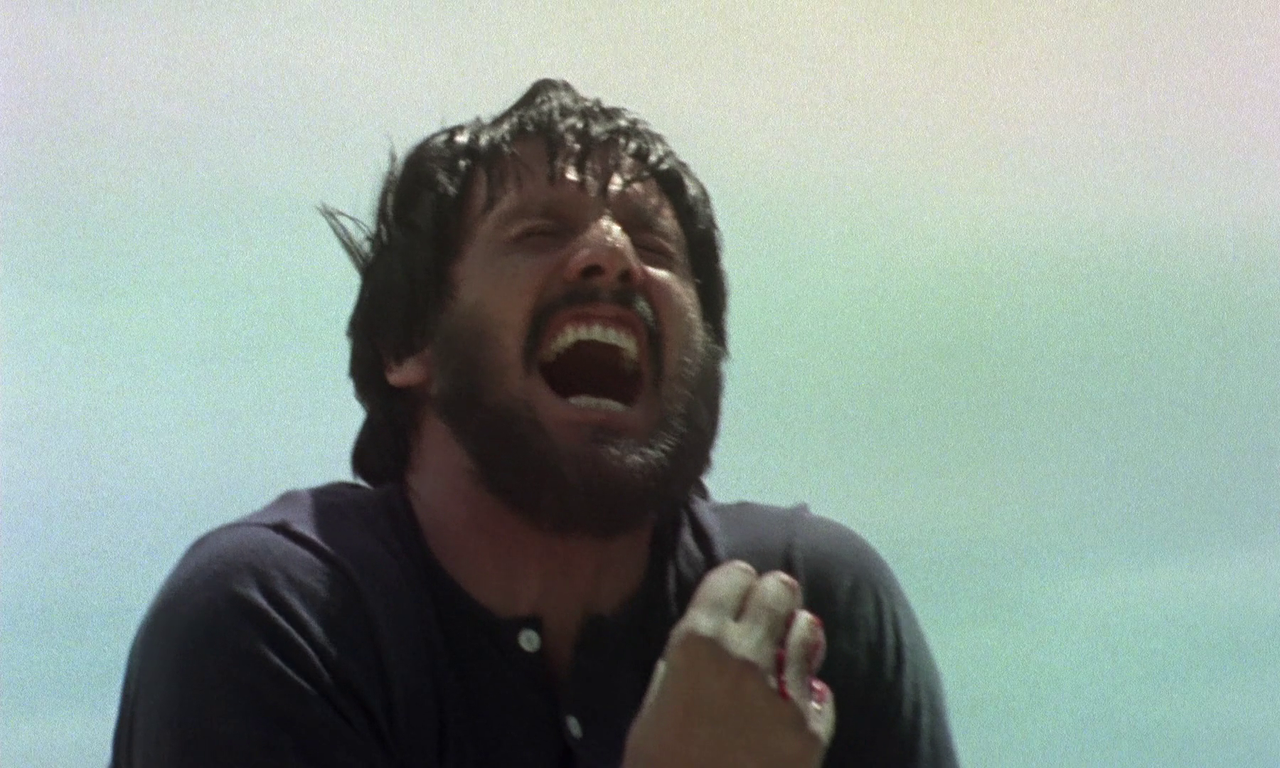 vlcsnap-2024-02-08-21h56m55s095