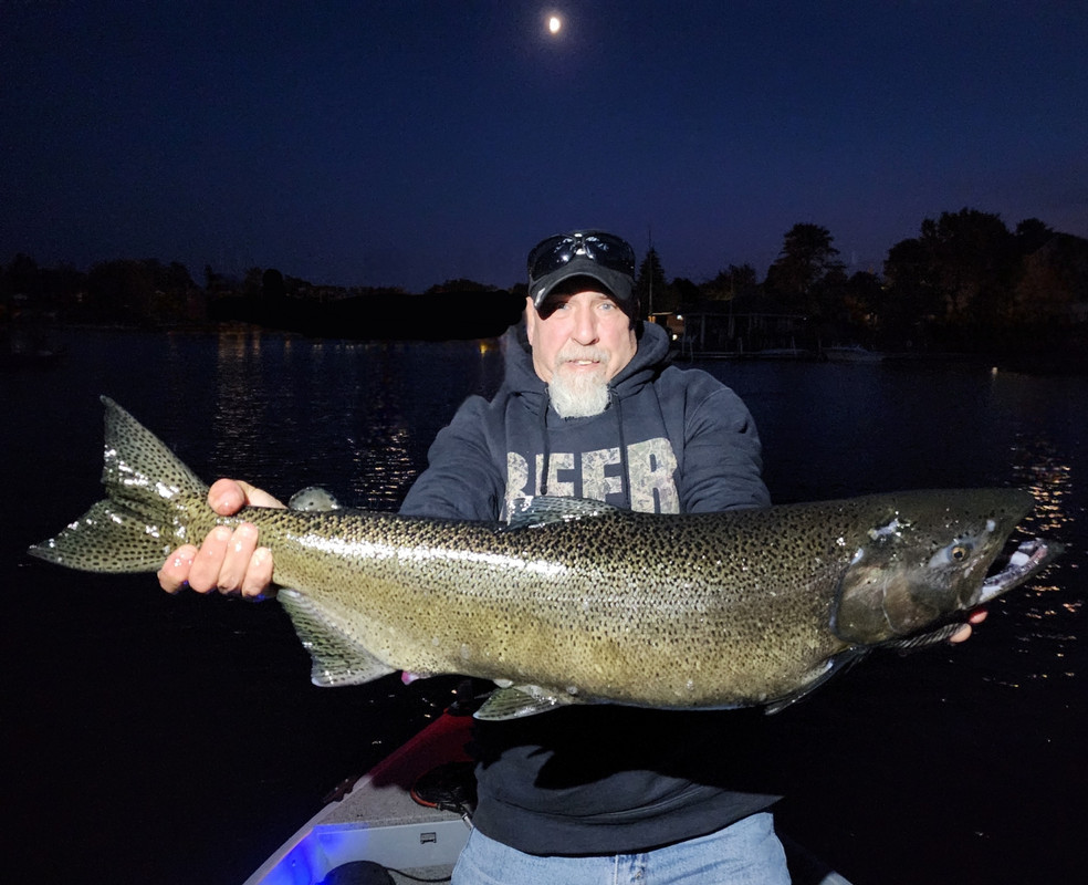 Resized_20241011_190322_1728735166539