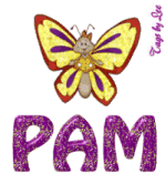 Pam-Butterfly-Glowing