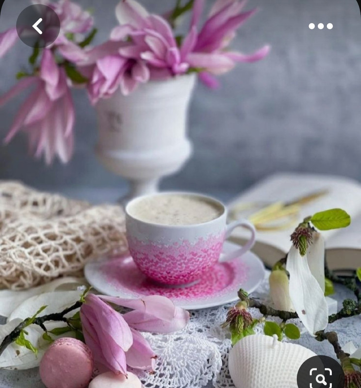 Screenshot_20230528_211130_Pinterest