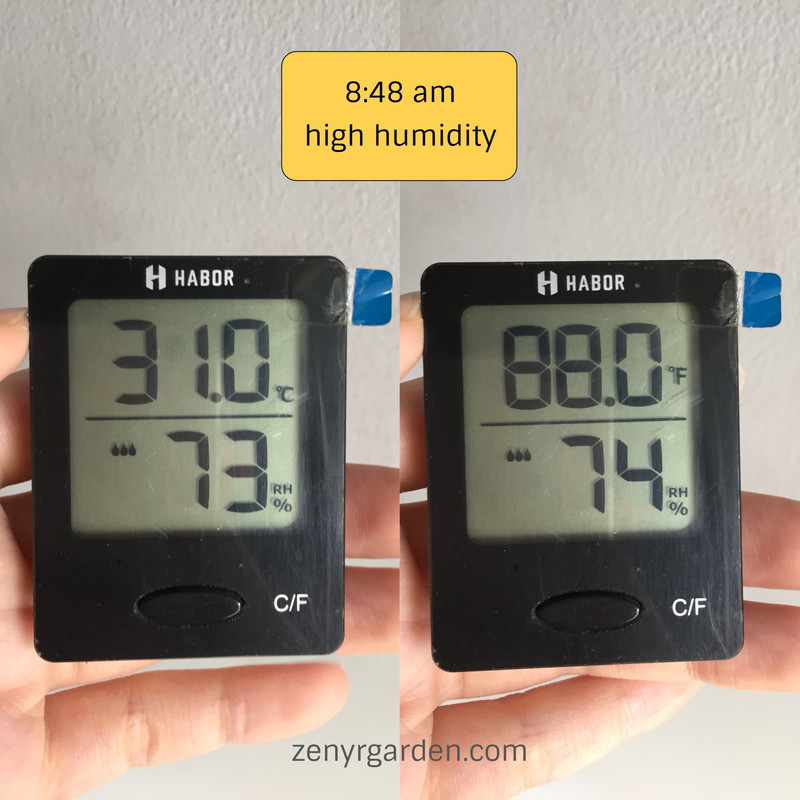 humidity-in-morning.jpg