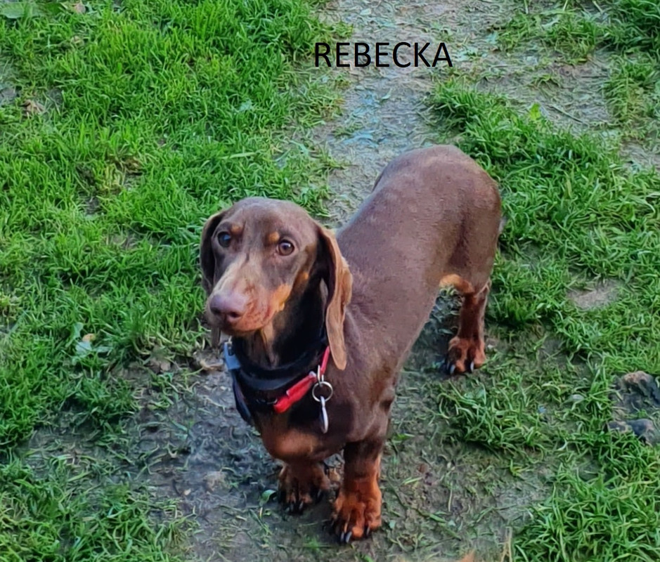 [Image: Rebecka-Copie.jpg]