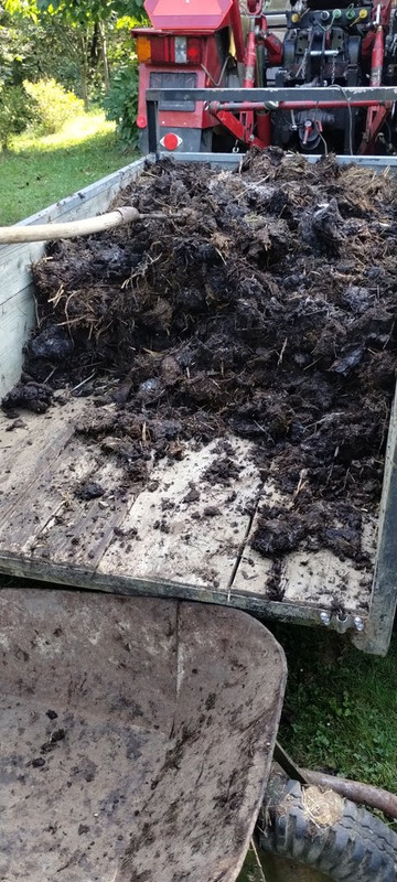 IMG-805ec7163cd2986937da49c6650c88c7-V