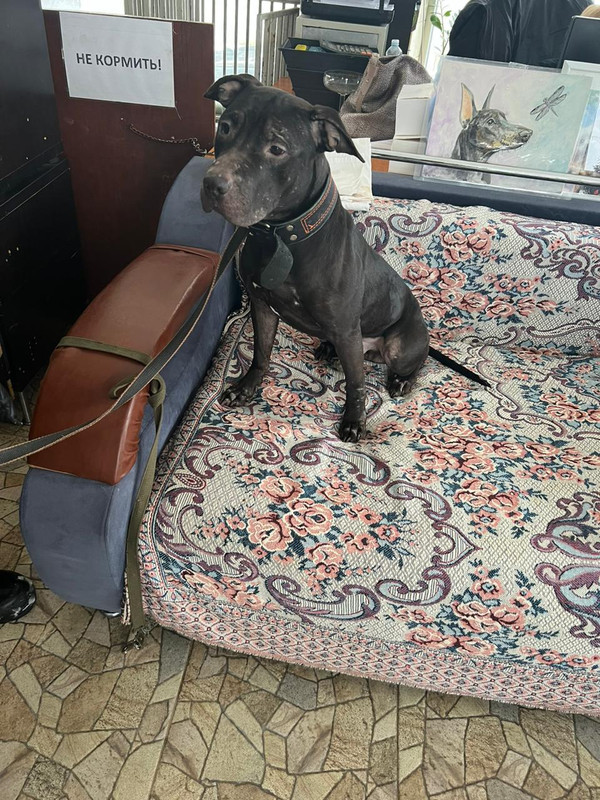 WhatsApp Image 2024-02-07 at 11.51.25 (1)