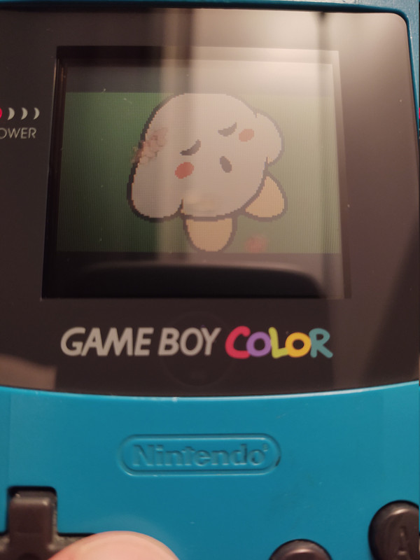 IMG 20251218 003439821