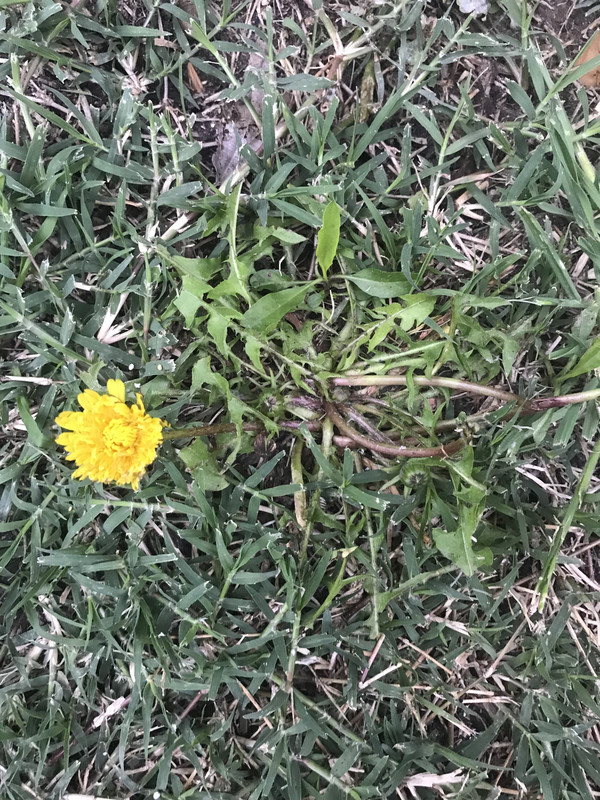 3C1906AA-2A46-4F9B-8721-BFA05DD336A5