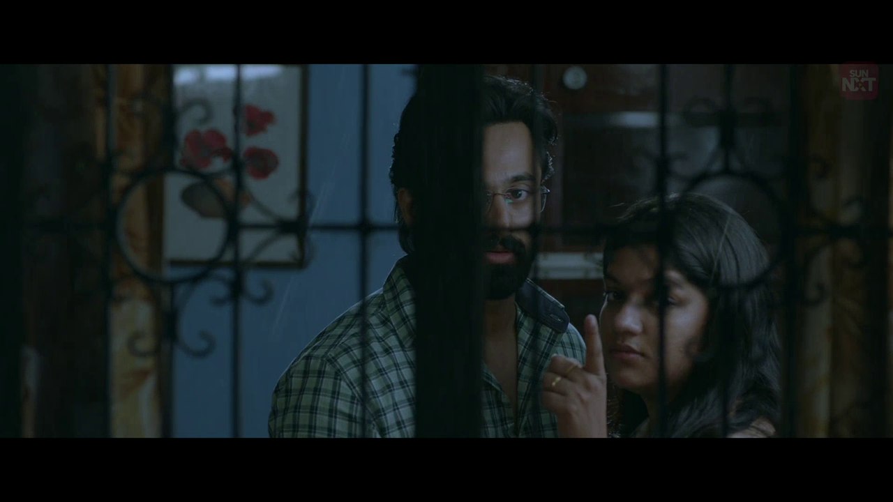 vlcsnap 2026 02 11 15h29m22s680