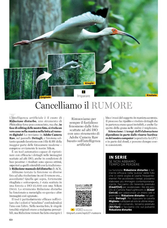 N Phot - Gen-Feb 2025 (3)