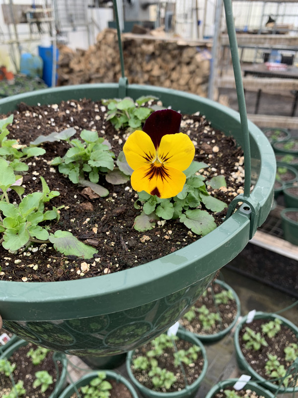 6DADA323-0787-4DB4-B762-3BC8331DB488