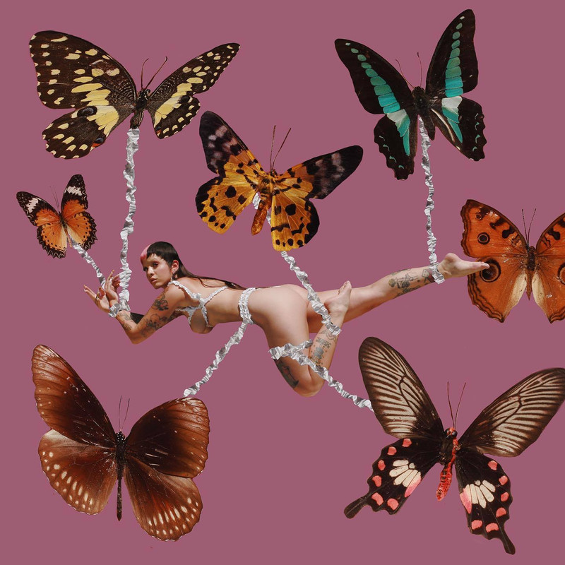 4E68F2F3-DAA8-40A6-82E3-0D898A0D7FB0