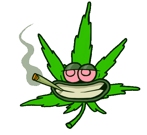 giphy