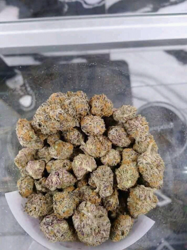 C7DB72F7-9BA8-463C-B8C9-7D030255DEAB