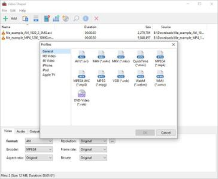 Video Shaper Pro 3.5 + Portable