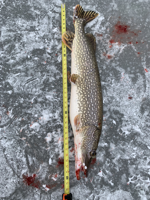 07A40765-3E78-40A6-9A50-756745196526