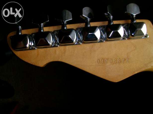 202151373_5_644x461_peavey-reactor-telecaster-us
