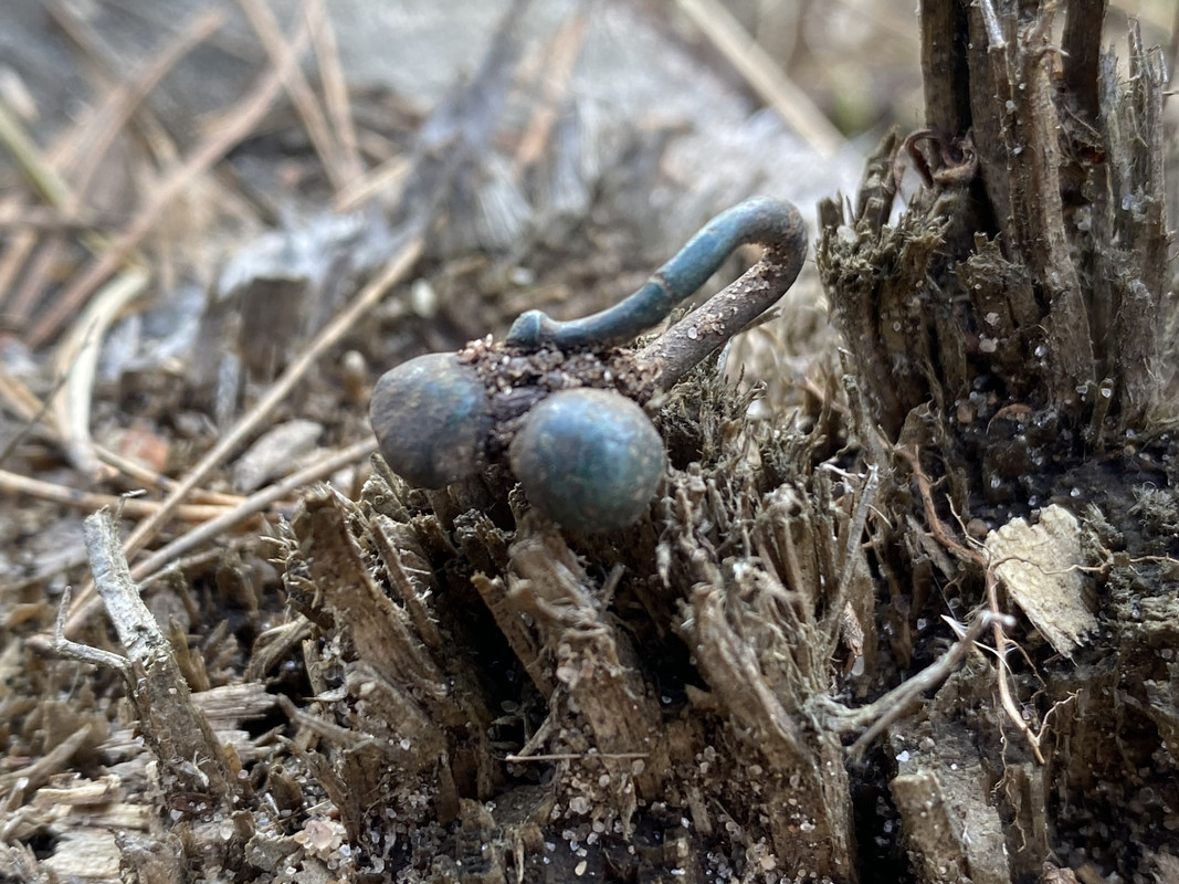 AF2C961C-72D0-49F9-AD54-95D4C7D1D55C