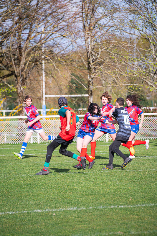 tournoi-de-latlantique-2026-adonis-griffon-231-55181423703-l