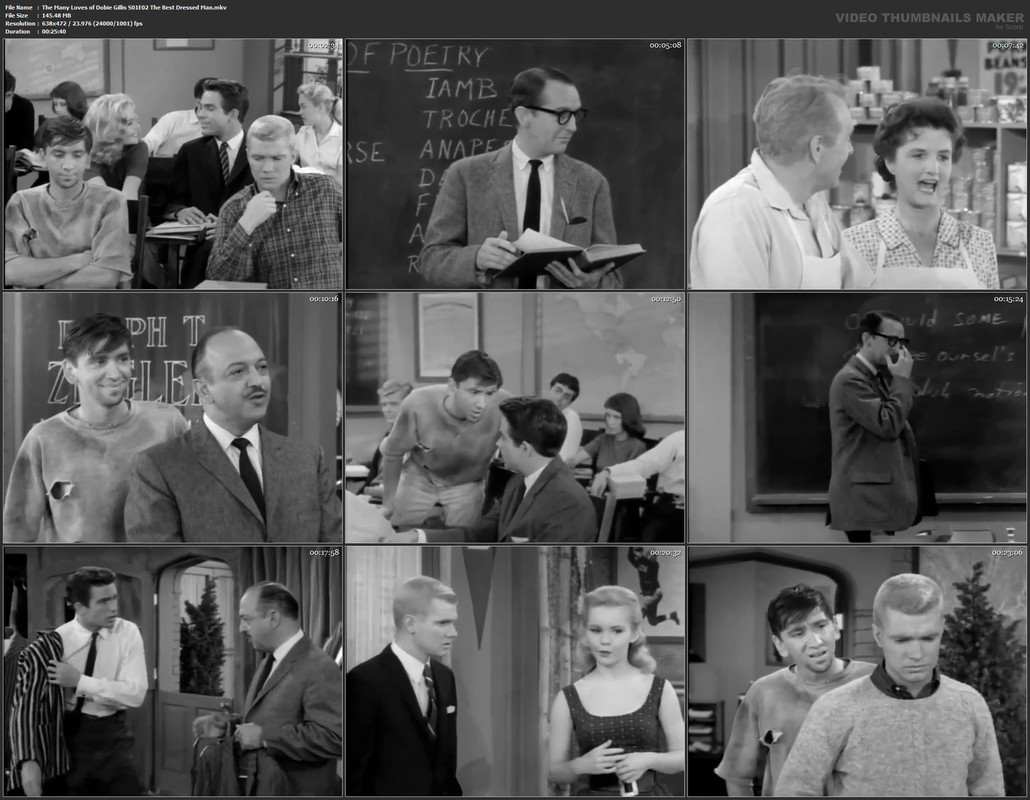 The Many Loves of Dobie Gillis S01 E02 The Best Dressed Man mkv