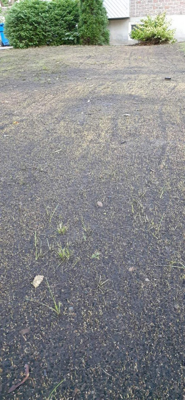 IMG-8235c8ac8d8781bc025600cd97d79f9d-V