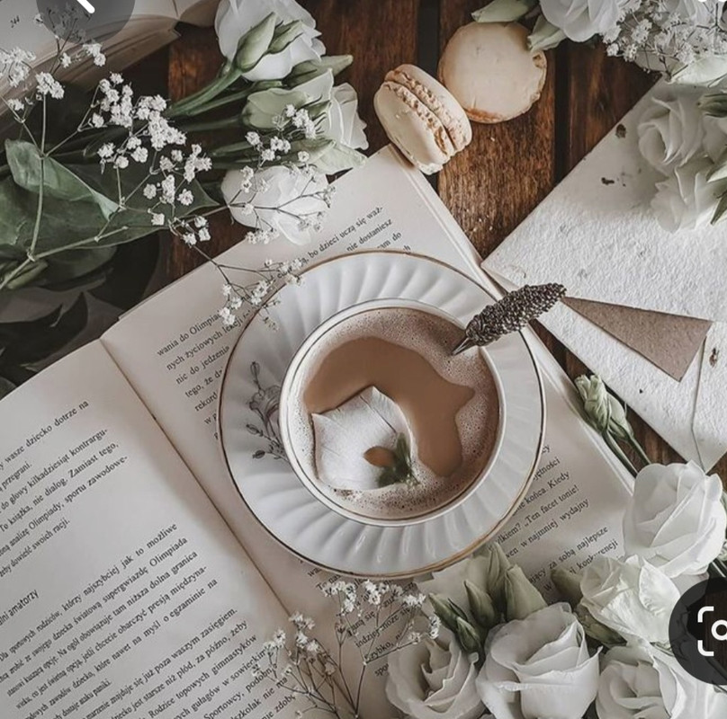 Screenshot_20230408_000100_Pinterest