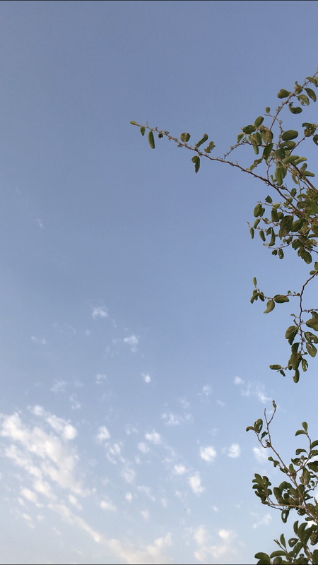 28480463-3539-4544-B247-BF2252ACEECD