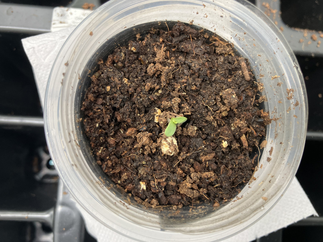 SEP 28 2023 IMG_2449