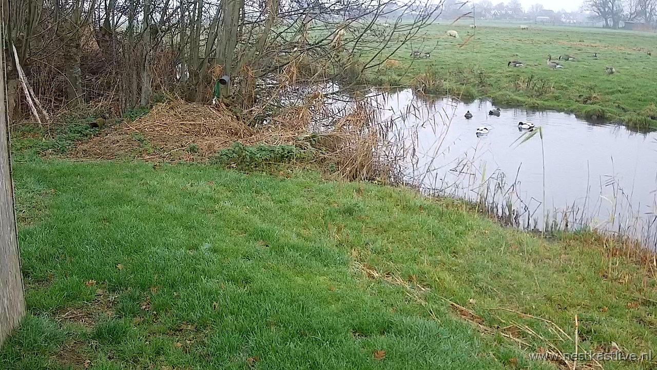 snapshot 2025 12 20T143320 108