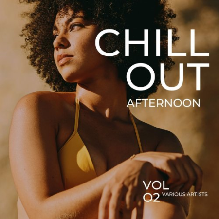 398e0b33 8111 4da9 93d7 bcc1d251cc58 - VA - Chill Out Afternoon Vol. 2 (2023)
