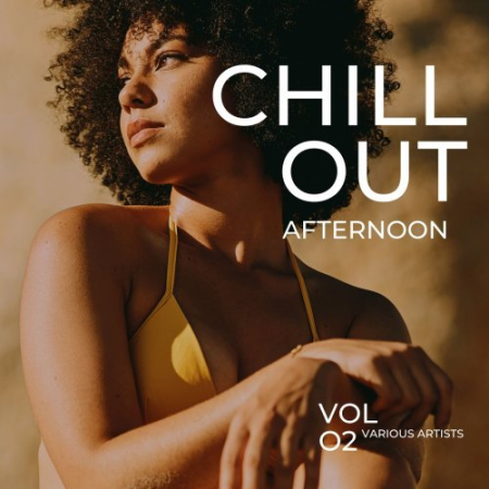 VA - Chill Out Afternoon Vol. 2 (2023)