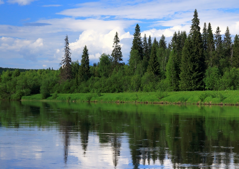 IMG_3087 (Копировать)