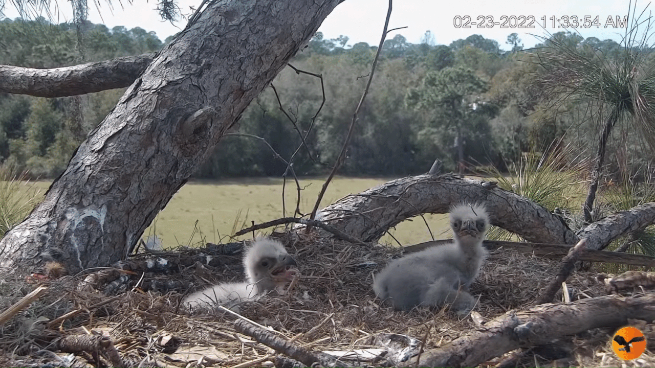 Webp.net-gifmaker (1)