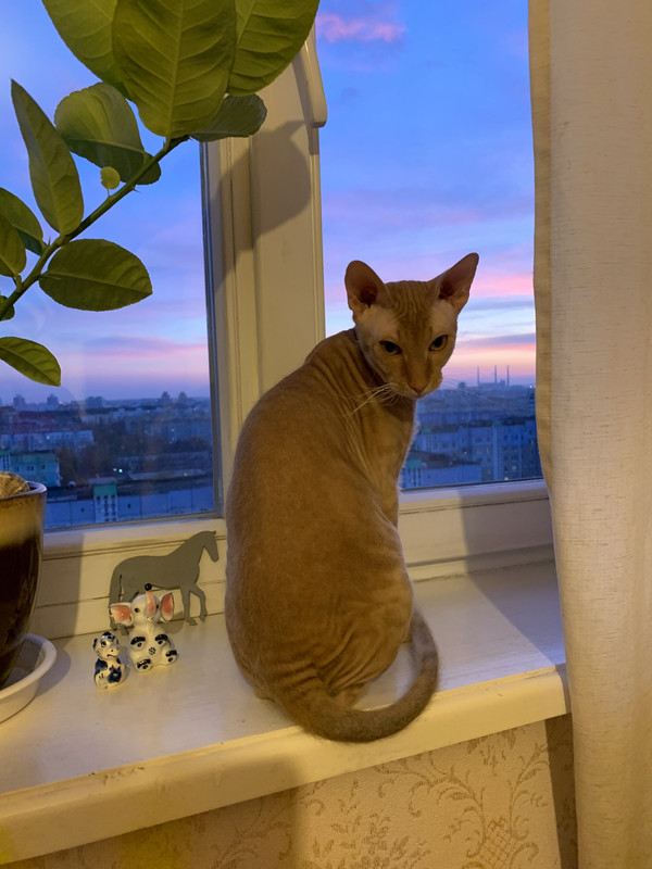 2C847953-A2E5-48C5-8691-627AED10E2AD