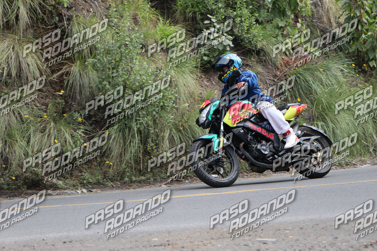 IMG 0135 wm 18234646 5 watermarked — Postimages