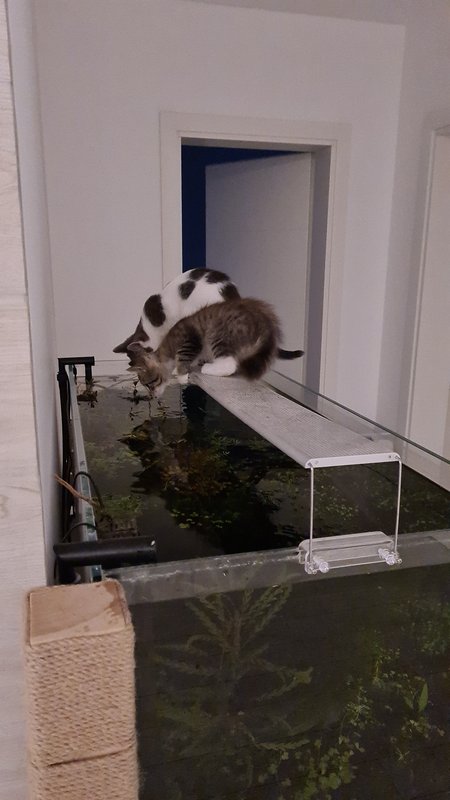 20201006-074309.jpg