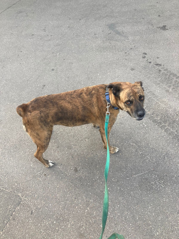 WhatsApp Image 2022-08-19 at 18.23.31 (1)