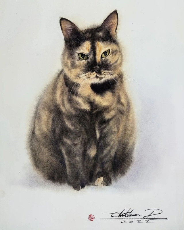 13