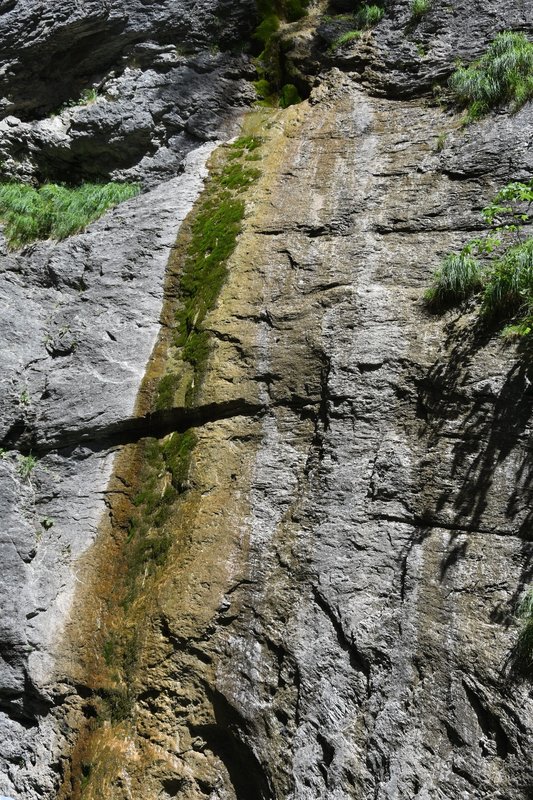 DSC-2137-Gorge-de-l-Aare-a-Meiringen-25-