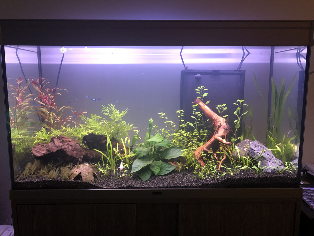 1DEE9DCE-9C71-471C-8BC5-EEF9F48BE4E0