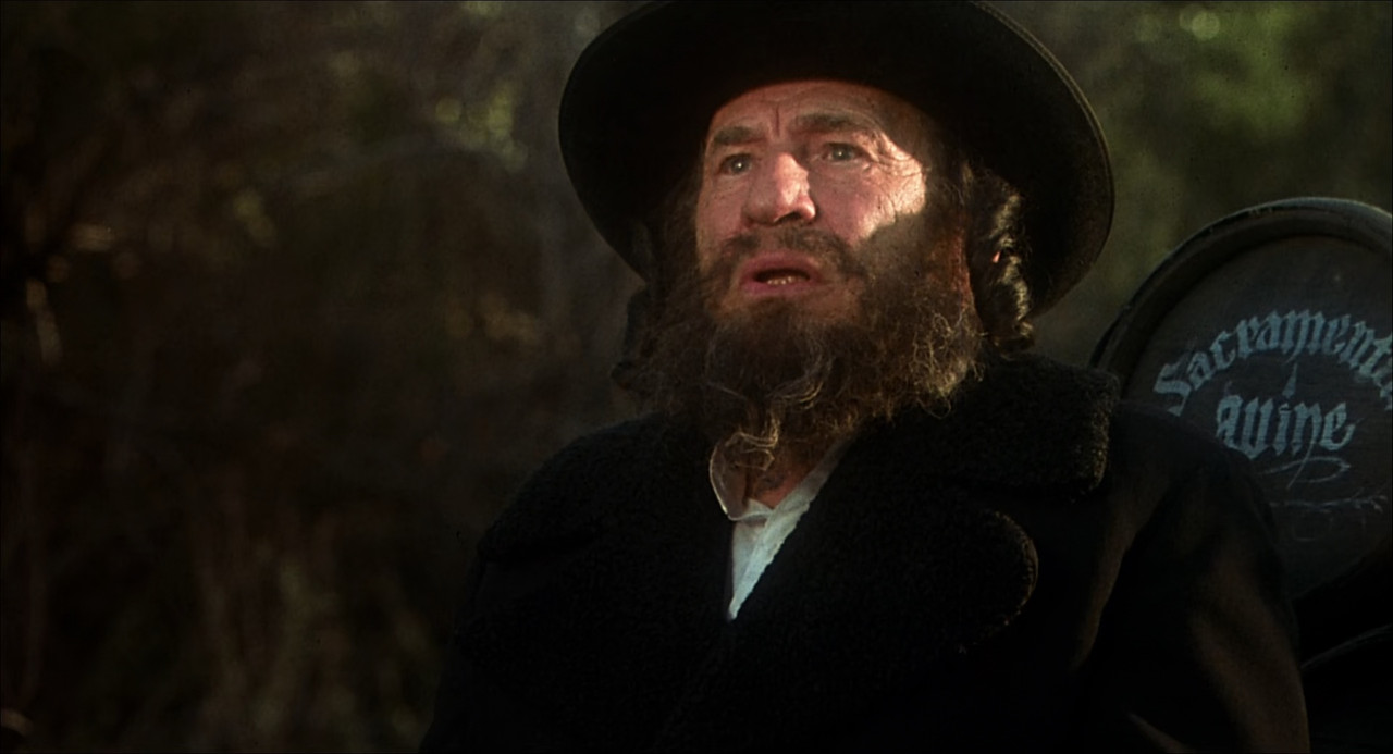 Robin Hood - Men in Tights 1993 (1080p x265 10bi