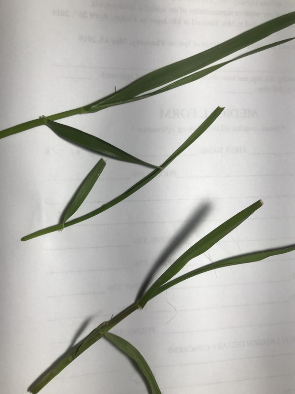 Photo Apr 22, 7 30 41 PM