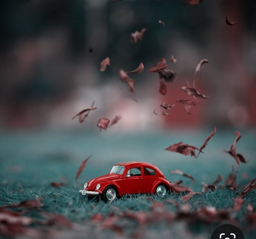 Screenshot_20231219_230124_Pinterest