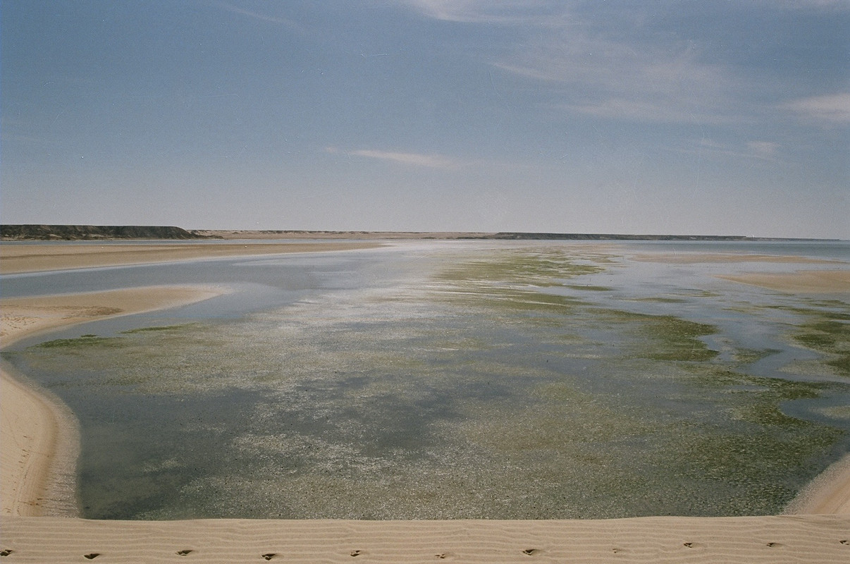 Villa Cisneros (Dakhla) y la Peninsula de Rio de Oro - El Sahara Occidental (101)
