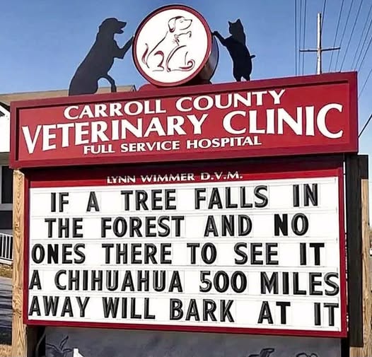 656226929 122124094617094108 4060161169405587200 n