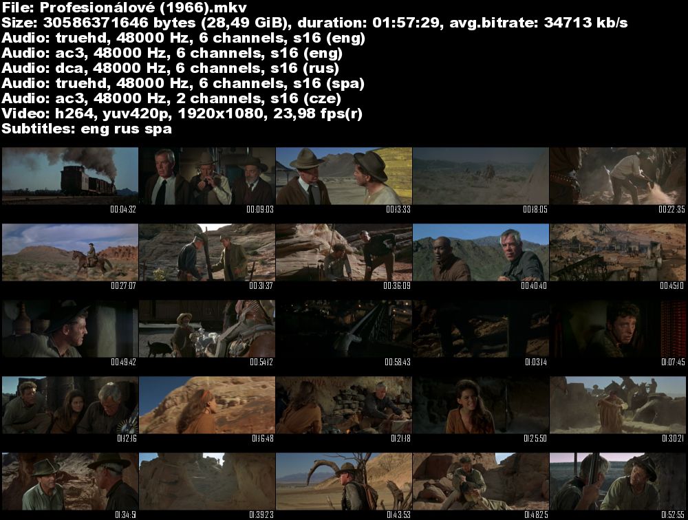 Profesionálové / The Professionals (1966)