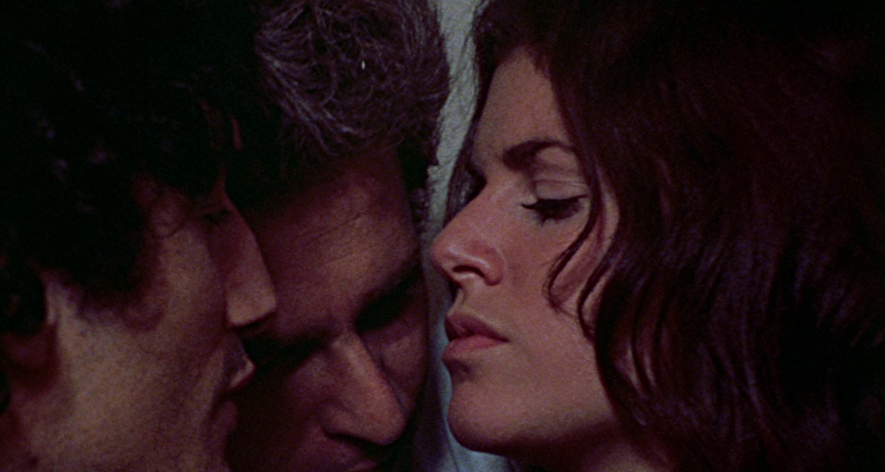 The Last House on the Left (1972) (1080p BDRip x265 10-bit - Erie)[TAoE]33