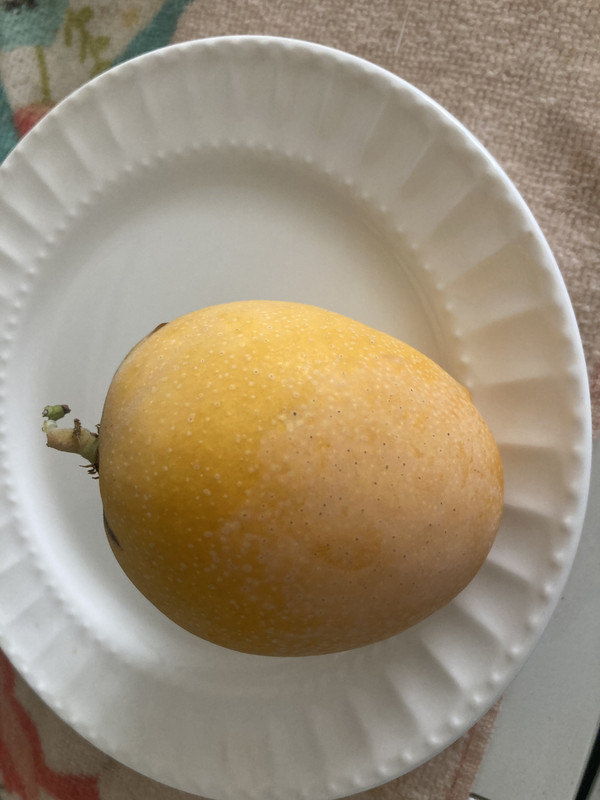 D4BADE3E-8035-4EB6-A5EC-B3E0DB47EC3C